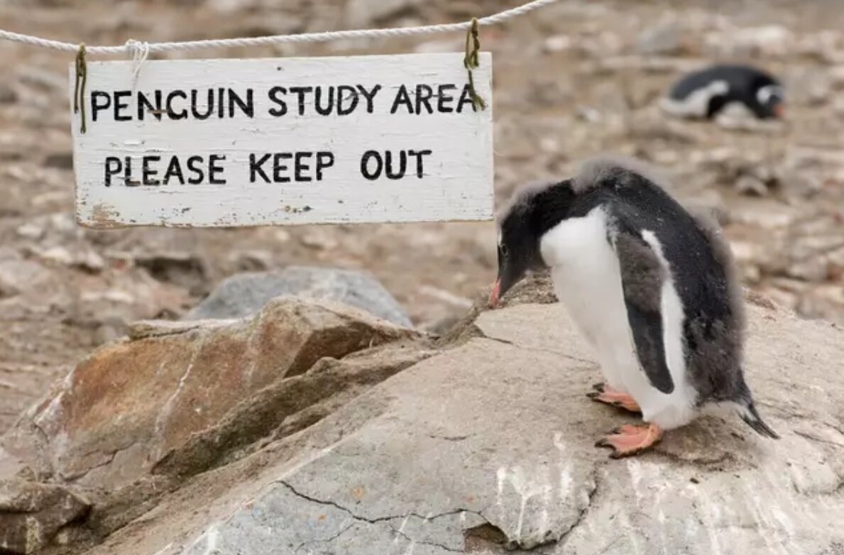 ۲۰۰۰ تقاضا برای کار کردن در این اداره پست عجیب/ عکس