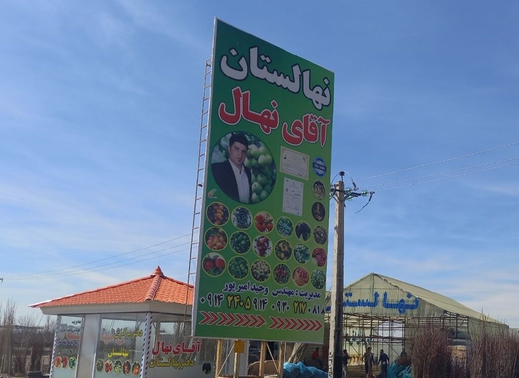 با خرید 100 نهال، 20 نهال و پک کود هدیه بگیرید