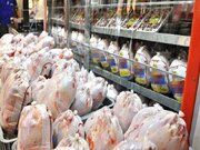 عرضه هر کیلوگرم مرغ گرم در کرمانشاه به قیمت ٩١٠ هزار ریال/توزیع مرغ یخی در بازار آغاز شد