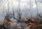 جزئیات آتش سوزی در جنگل‌های گیلان