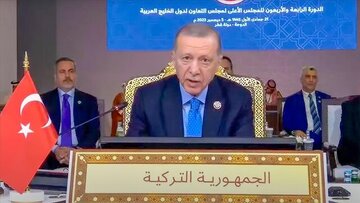 اردوغان اسرائیل را تهدید کرد/ تل‌آویو نباید از این جنایت بی‌پاسخ بگذرد