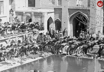 قدیمیترین عکس از برگزاری نماز جمعه در ایران قدیمیترین عکس از برگزاری نماز جمعه در ایران