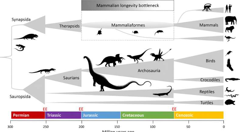 عامل باورنکردنی عمر کوتاه انسان