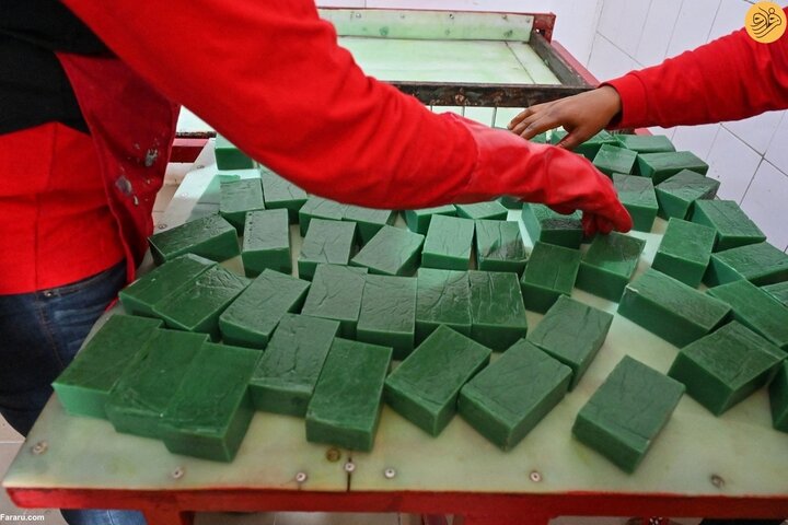 پرورش حلزون‌های غول پیکر در ساحل عاج