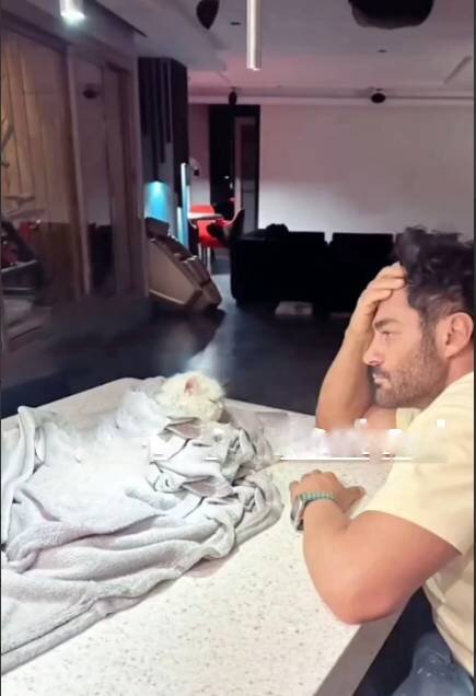 عکس | نگاه نگران محمدرضا گلزار به گربه پتو پیچ شدهاش