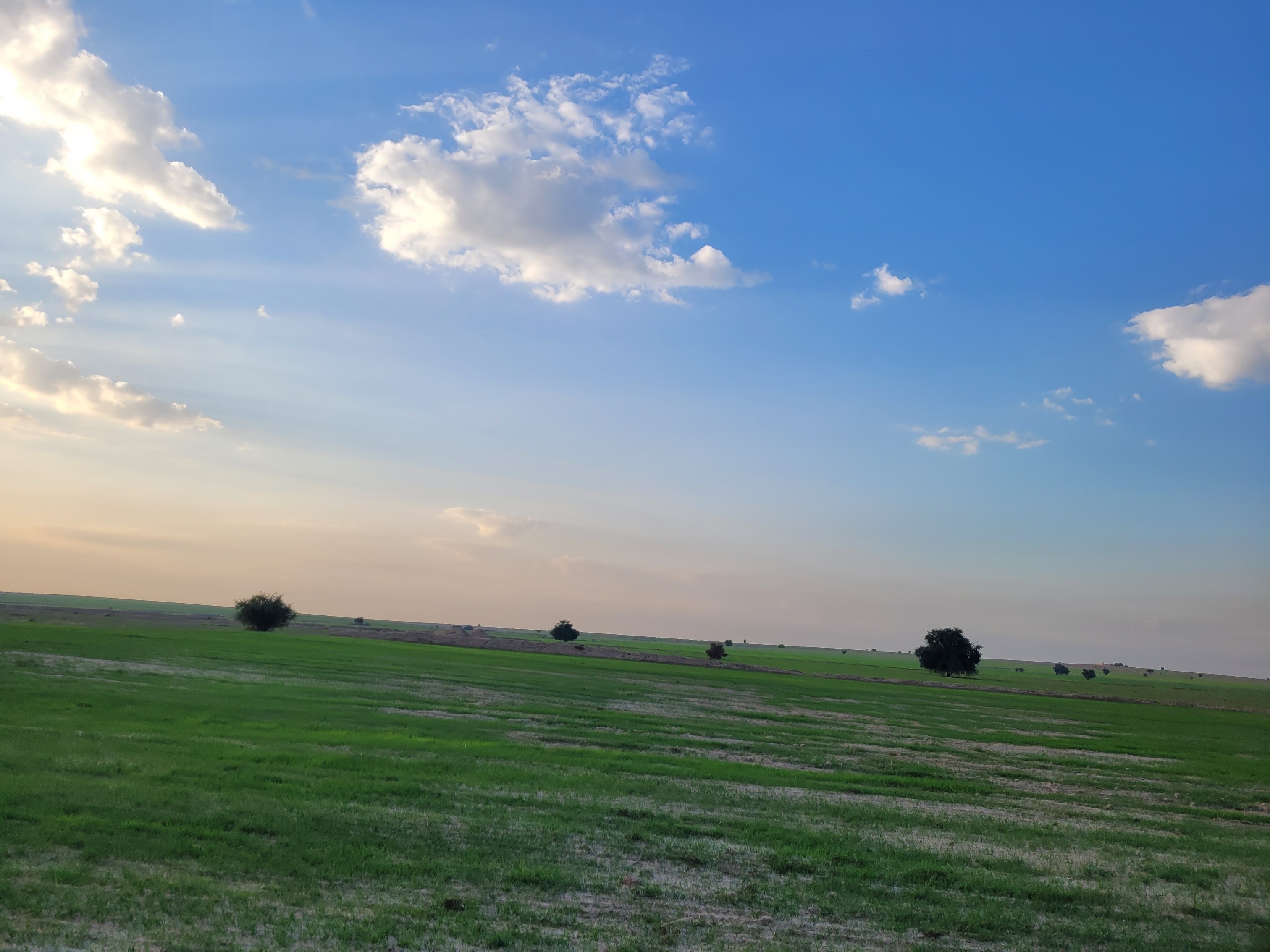 تصاویری زیبا و بکر از منطقه مزرعه شهرستان کرخه خوزستان