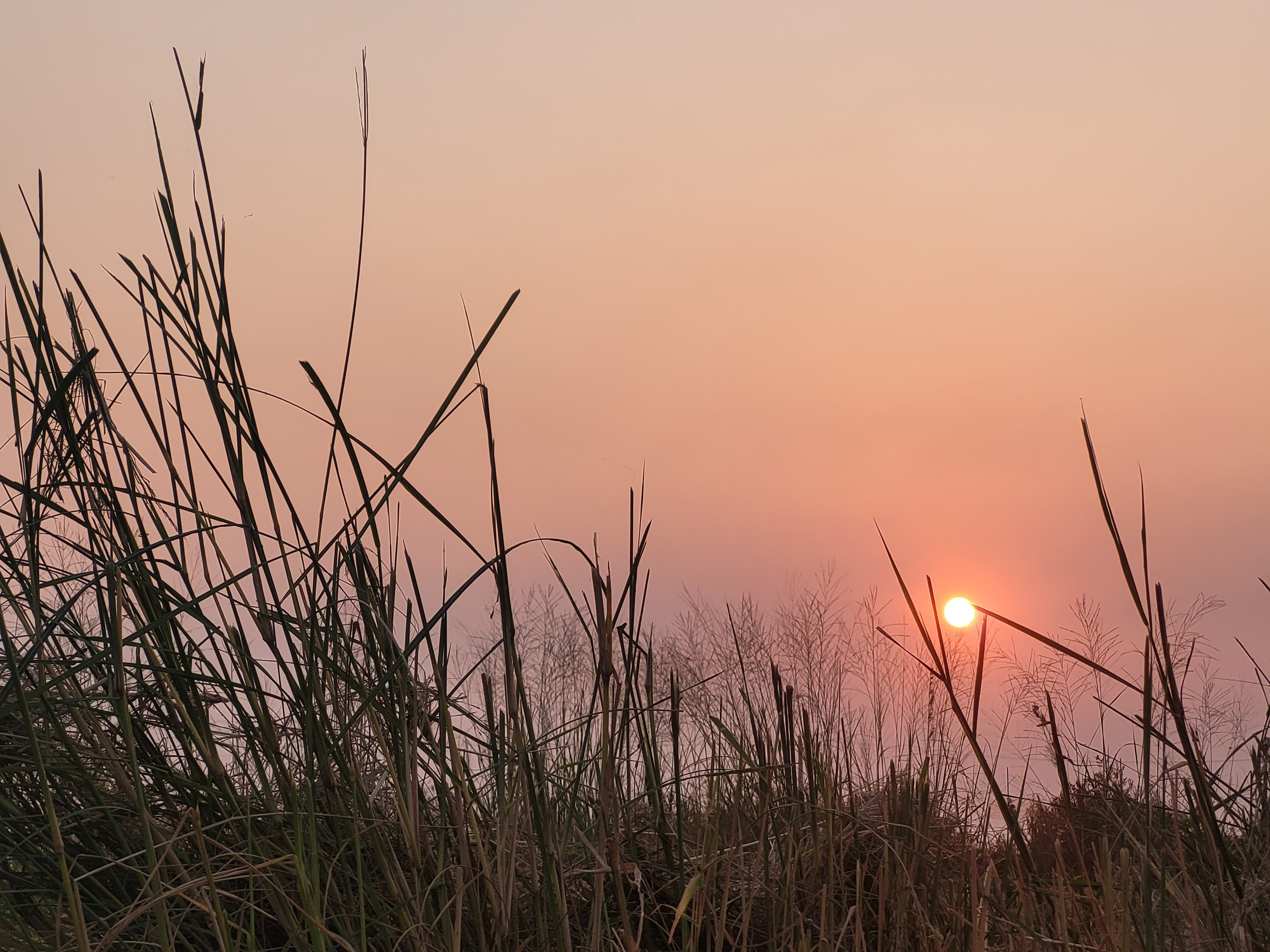 تصاویری زیبا و بکر از منطقه مزرعه شهرستان کرخه خوزستان