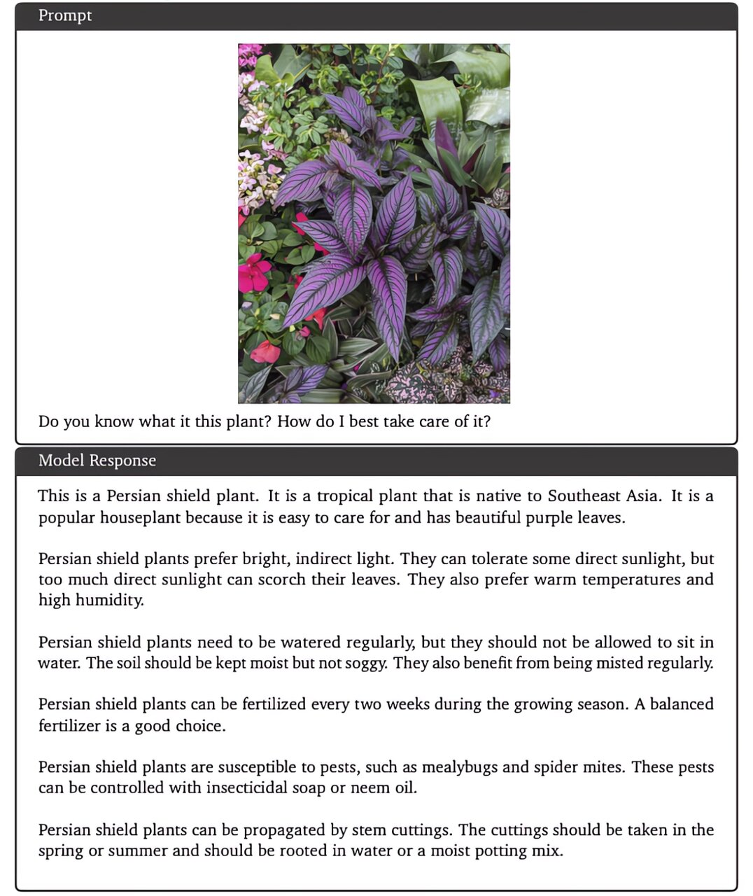 هوش مصنوعی گوگل آنطور که ما فکر میکنیم نیست!