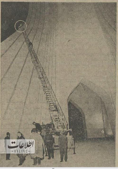 گربهای که میدان آزادی را بهم ریخت! / عکس