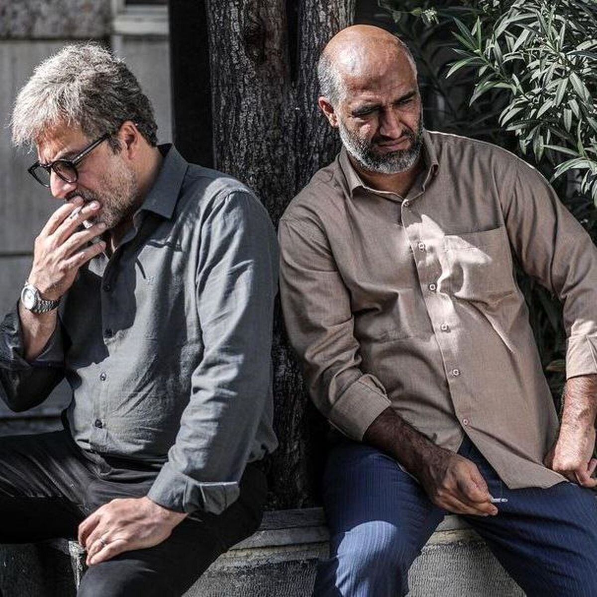این فیلم هم قاچاق شد؛ پژمان جمشیدی، امیر آقایی و... 2
