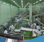 راه‌اندازی کارخانه تولید دارو در همدان