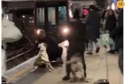 ببینید | حمله وحشیانه یک سگ به مردی در ایستگاه مترو