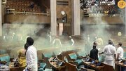 ببینید | ضرب و شتم و درگیری در پارلمان هند به سبک فیلم‌های بالیوود