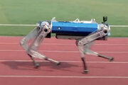 ببینید | سگ رباتیک رکورد دو ۱۰۰ متر گینس را شکست!