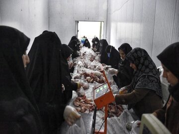 توزیع گوشت قربانی در بین ١١٠٠ خانواده محروم کرمانشاهی