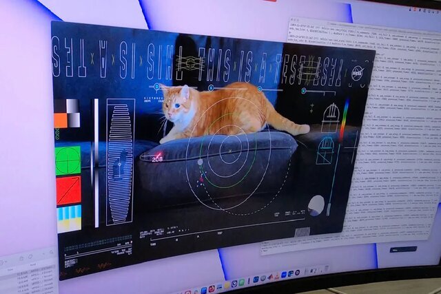شاهکار بزرگ ناسا/ گربه‌ای که با لیزر از فضا به زمین رسید+فیلم