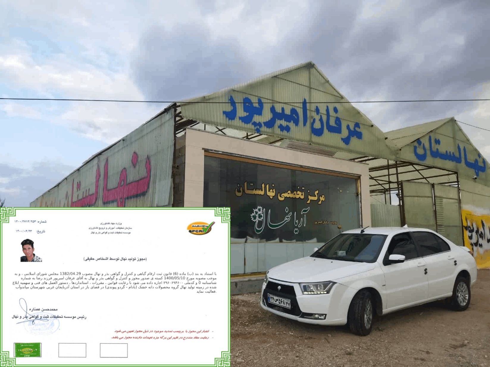 فروش عمده انواع نهال، نصف قیمت پارسال به همراه ارسال رایگان