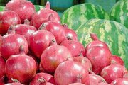قیمت انواع میوه و تره بار در آستانه شب یلدا اعلام شد/ هر کیلو انار، خرمالو، هندوانه، کیوی و پرتقال چند؟