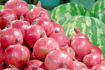 قیمت انواع میوه و تره بار در آستانه شب یلدا اعلام شد/ هر کیلو انار، خرمالو، هندوانه، کیوی و پرتقال چند؟