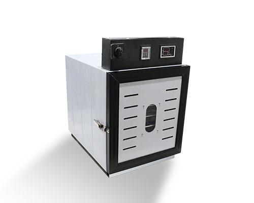 کدام میوه خشک ها چاق کننده هستند؟