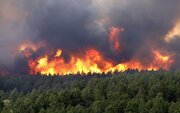 ببینید | تداوم آتش سوزی در مناطق جنگلی سراوان