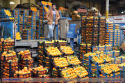 وعده جدید درباره قیمت میوه شب عید