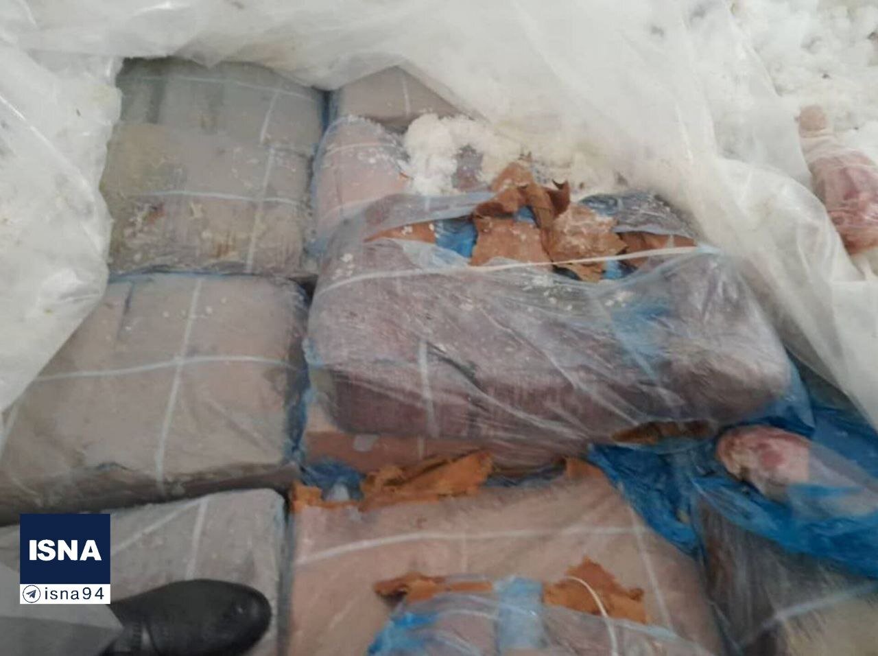 کشف محموله زبان حیوانات در میناب؛ از زبان گراز تا گاو/ عکس