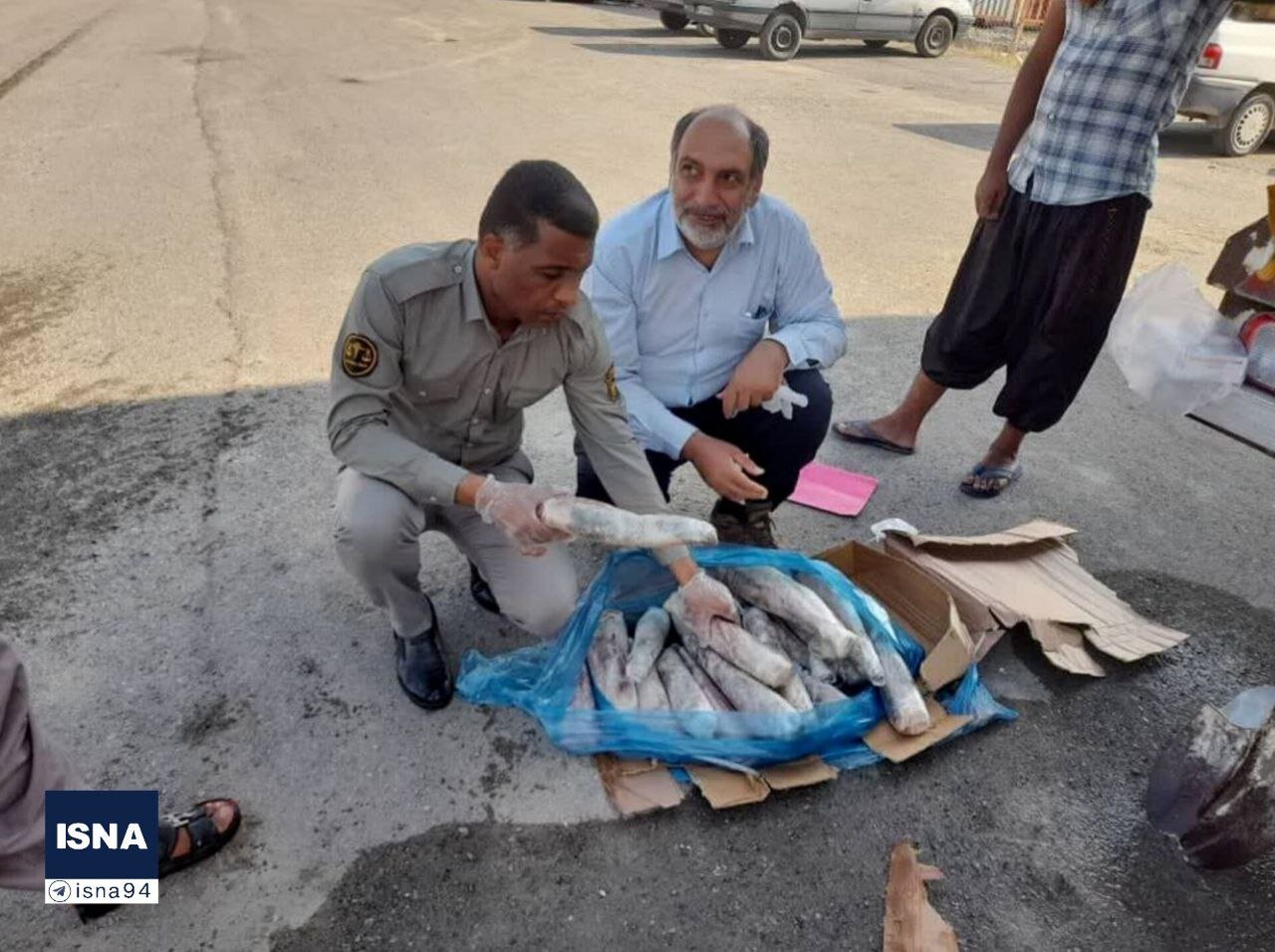 کشف محموله زبان حیوانات در میناب؛ از زبان گراز تا گاو/ عکس