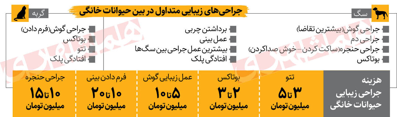 صف جراحی زیبایی برای حیوانات خانگی در ایران/ جراحی گوش و دم و بوتاکس...