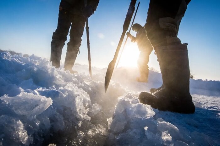 زنده کردن حیوانات منقرض شده/ دایناسورها هم برمی‌گردند؟