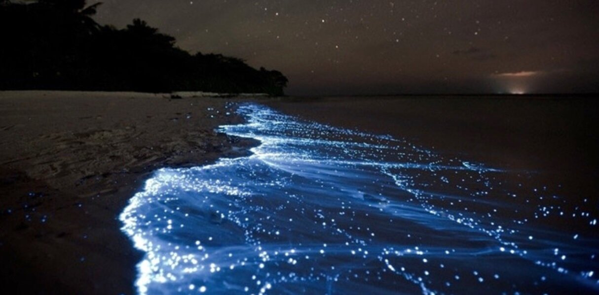 راز مکانهایی روی زمین که در شب میدرخشند/ عکس