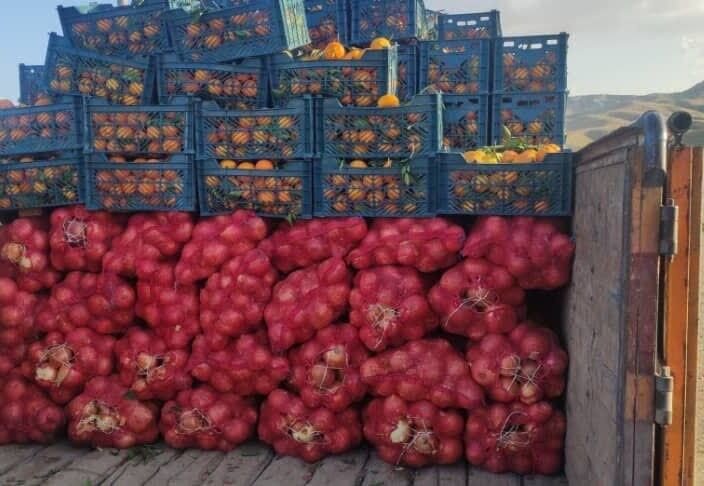 قاچاق عجیب پیاز در لباس پرتقال!/ عکس