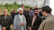 افتتاح نخستین مجتمع گلخانه ای درچهارمحال وبختیاری