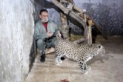 عکس| این مرد ۷۰۰ حیوان در خانه‌اش نگهداری می‌کند؛ «اگر قاچاقچی بودم که در این کشور ۴۳ سال مدیر نبودم»
