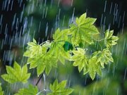 افزایش ۷۵ درصدی بارش کرمانشاه نسبت به سال گذشته