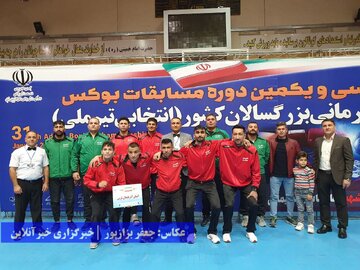 رقابت‌های بوکس قهرمانی بزرگسالان کشور