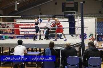 رقابت‌های بوکس قهرمانی بزرگسالان کشور