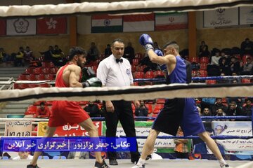 رقابت‌های بوکس قهرمانی بزرگسالان کشور