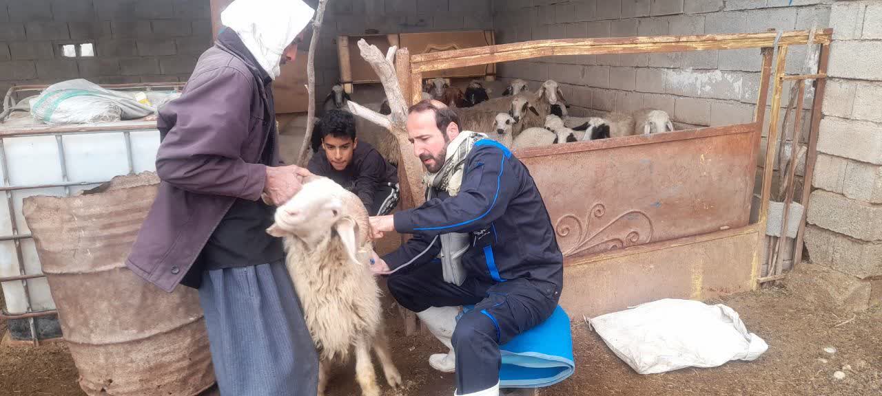 برگزاری اردوی جهادی دامپزشکی در مناطق محروم کرخه به مناسبت هفته مقاومت