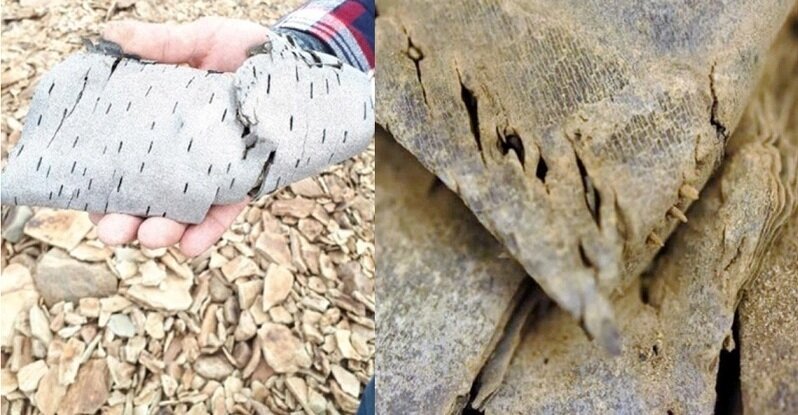 کشف گنج ۷۰۰۰ سالهای که در یخ گیرافتاده بود/ عکس