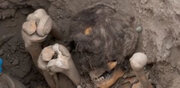 کشف اجساد با سرهای قلابی در پرو +  عکس