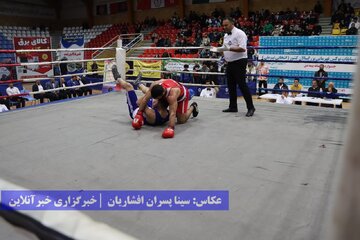 مسابقات بوکس قهرمانی کشور