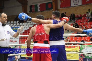 مسابقات بوکس قهرمانی کشور