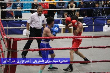 بوکس