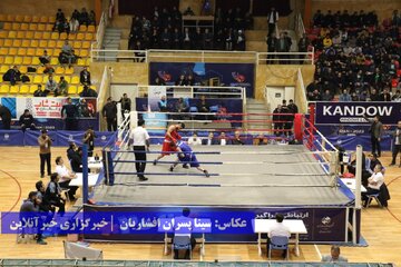بوکس