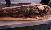 ردپای سیمپسون‌ها بر روی تابوت ۳هزار ساله مصری!/ عکس