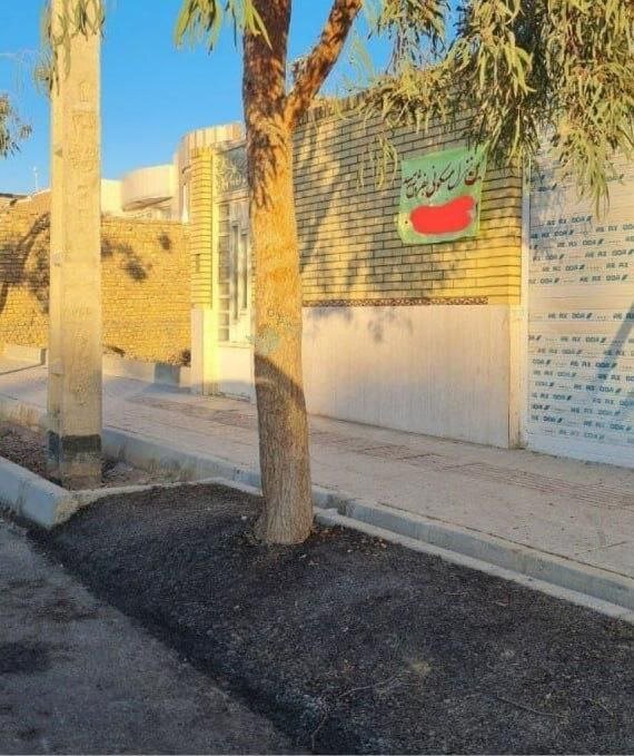 عکس | حرکت عجیب شهرداری کرج؛ آسفالت کردن درخت و خاکریزی برای تیر برق!