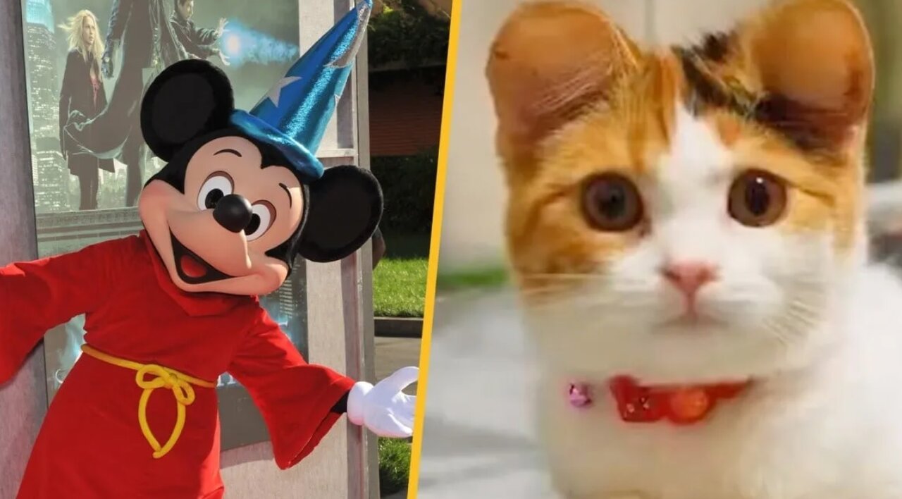 چینیها با جراحی سگهای خود را شبیه میکیموس میکنند!/ عکس