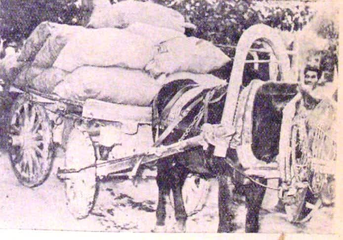 کارهای خلاف قانون در تهران قدیم؛ از کفتربازی تا متلکپرانی/ عکس