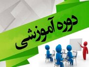 برپایی سه هزار نفر دوره مهارت آموزی برای آسیب دیدگان حوزه اجتماعی کرمانشاه